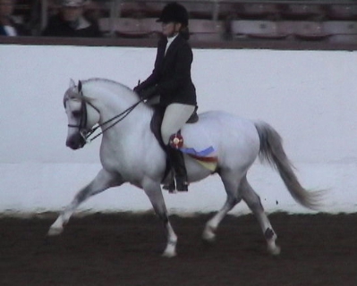 Gayfields Call the Cops LOM - Ridden Champion Santa Barbara National