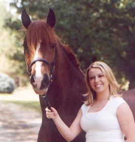 Goldhills Butter Rum - Section D Welsh Cob Gelding & Carrie Kirtlan